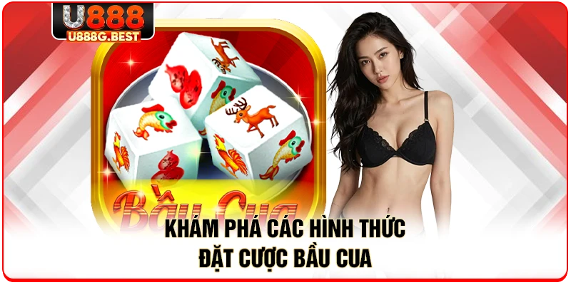 Khám phá các hình thức đặt cược bầu cua